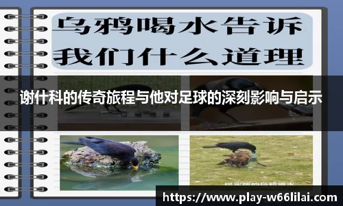 利来66国际官网