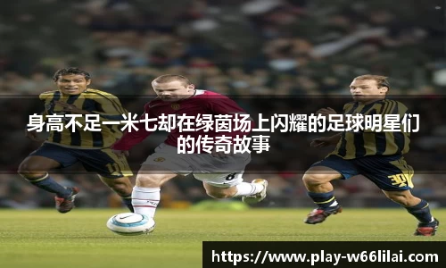 利来66国际官网